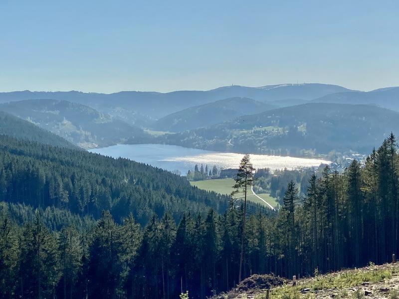 Hotel Zartenbach Hinterzarten Dış mekan fotoğraf
