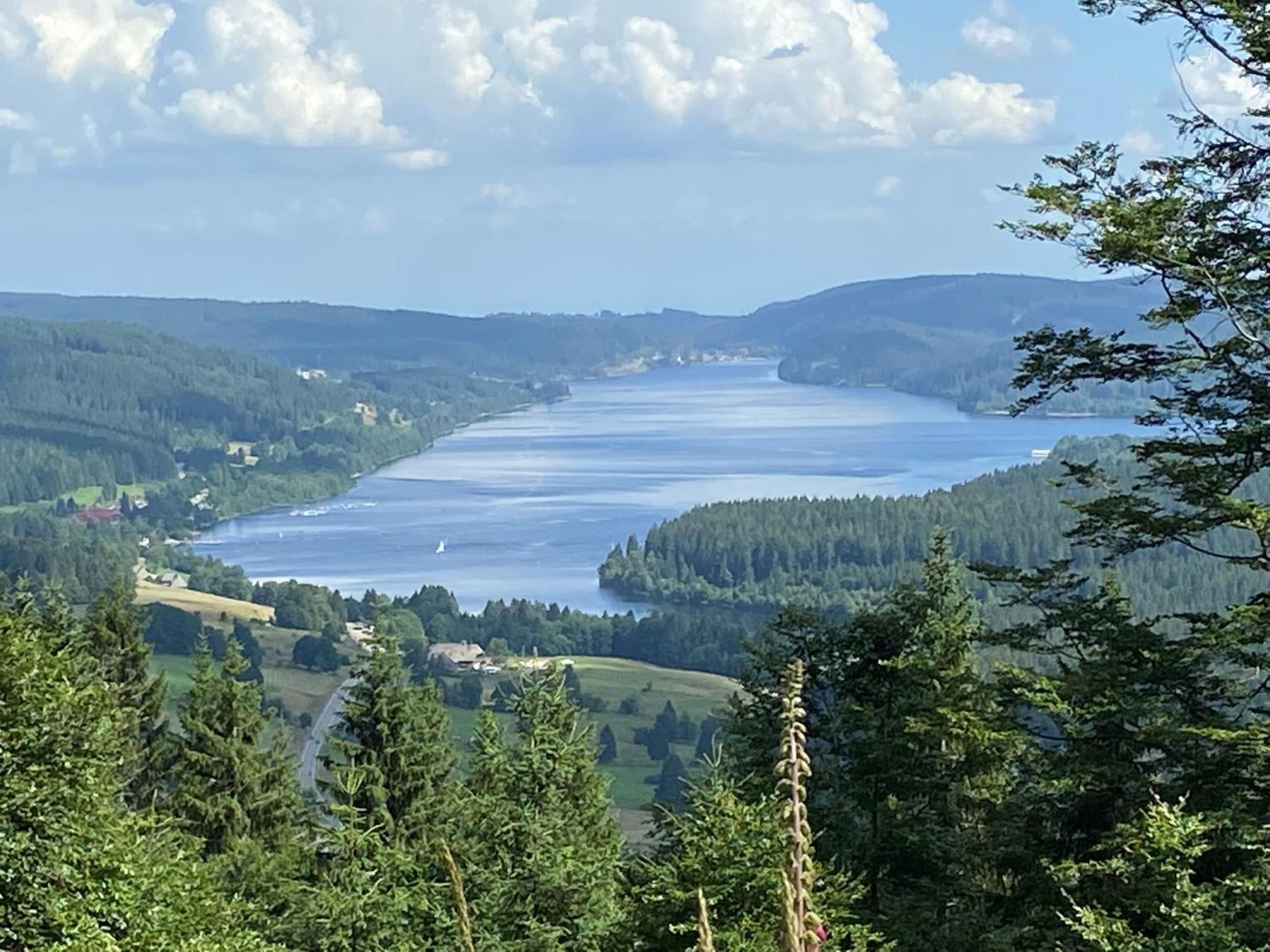 Hotel Zartenbach Hinterzarten Dış mekan fotoğraf