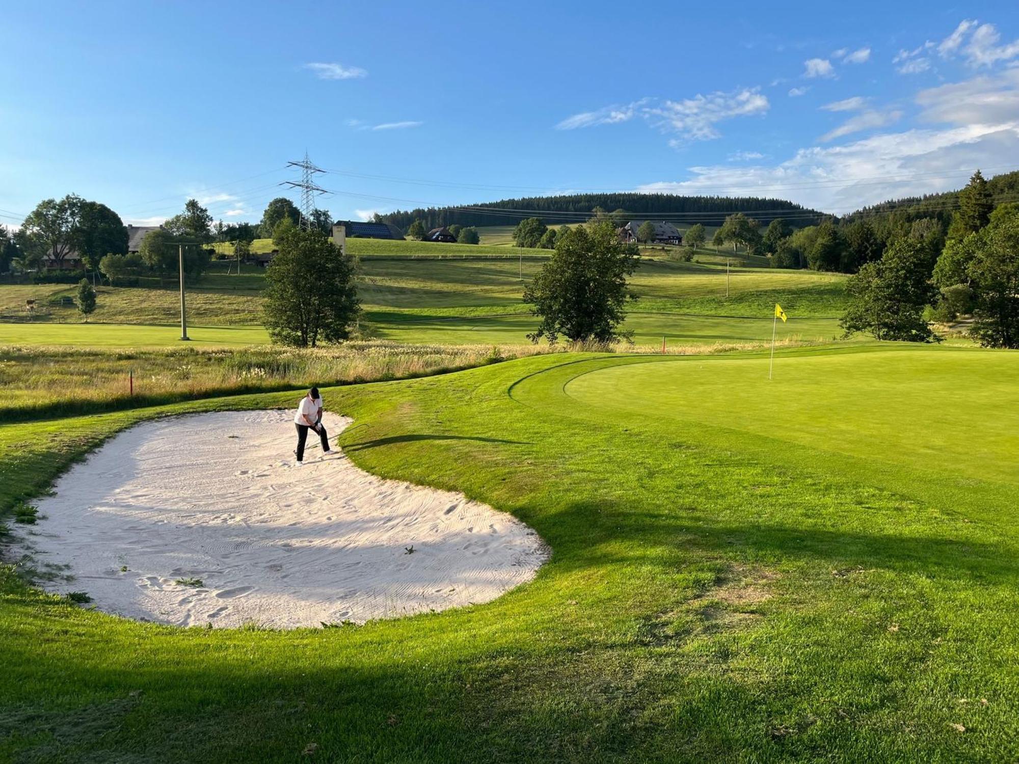 Hotel Zartenbach Hinterzarten Dış mekan fotoğraf