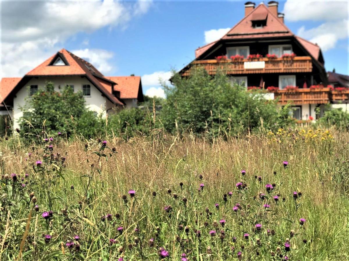 Hotel Zartenbach Hinterzarten Dış mekan fotoğraf